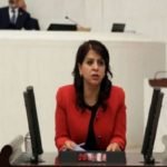 Turkish government detains pro-Kurdish HDP deputy Sibel Yiğitalp