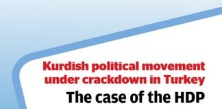Kurdish political movement under crackdown in Turkey: The case of the HDP