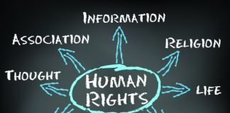 Crackdown on Human Rights Defenders in Turkey: 2023 in Review