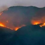 Turkish military allegedly set forest fires around Tunceli province