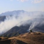 Pro-Kurdish HPD delegation’s access to forest fire area in Tunceli prevented by Turkish gov’t