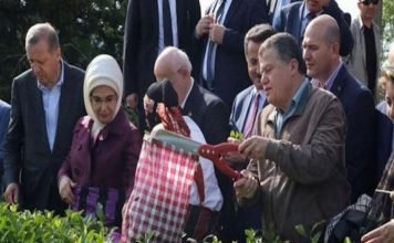 Turkey’s top judge claims ‘only courts can release Brunson’