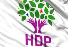 HDP Flag