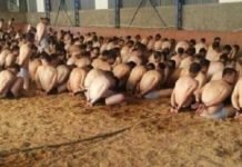 Turkey’s post-coup crackdown, 10 years on: Torture and ill-treatment