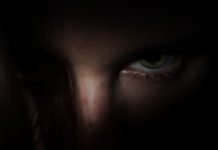 secret witness