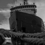 Turkey raids ship carrying 276 migrants: report Ship