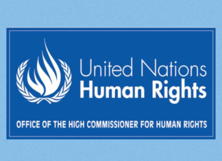 UN Human Rights Council on death of Ebru Timtik : No one should have to die in pursuit of fair trial