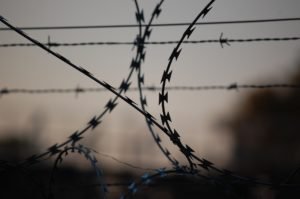 Barbed Wire