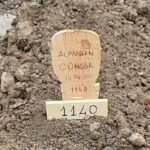 Former judge jailed on Gülen links dies from cancer shortly after release