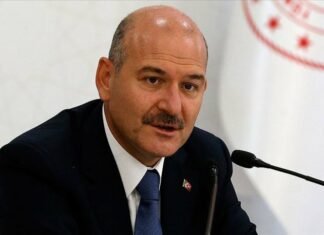 Interior minister says 200,950 Syrians in Turkey have become citizens