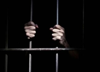 More than 5,300 prisoner deaths reported in Turkey since 2002, activists call for accountability
