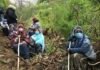 Turks defend nature against Erdoğan’s development push