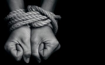 Turkish citizens’ abduction sparks panic in South Africa: report