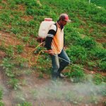 Growing number of farm laborers in Turkey are victims of occupational accidents