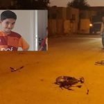 Military vehicle kills 7-year-old boy in SE Turkey