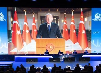 Turkey will increase its presence at INTERPOL, newly elected Executive Committee member says