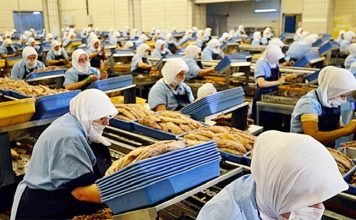 Female worker reveals inhumane working conditions at Dardanel fish company