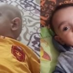 2-year-old dies from the cold due to alleged negligence on the part of electrical distribution company