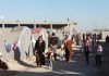 Turkey working on plan to reduce migrant population in designated provinces