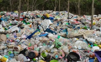 Tons of UK plastic waste illegally dumped and burned in Turkey: report