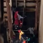 Occupational safety expert sparks outrage for trying to fit dead worker with safety harness after workplace accident