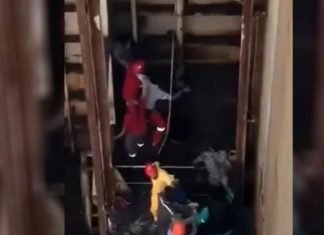 Occupational safety expert sparks outrage for trying to fit dead worker with safety harness after workplace accident