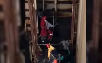Occupational safety expert sparks outrage for trying to fit dead worker with safety harness after workplace accident