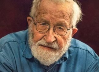 Chomsky suggests sending independent team to northern Iraq to investigate use of chemical weapons by Turkey