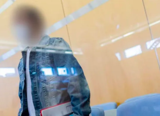 Taxi driver gets suspended sentence for spying on Turkish dissidents in Germany