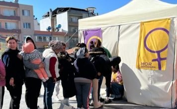 Front Line Defenders calls on Turkey to stop harassment of rights defenders in quake region