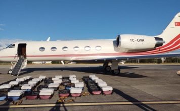 Drug traffickers use Turkey’s citizenship laws to evade trial in Europe: report