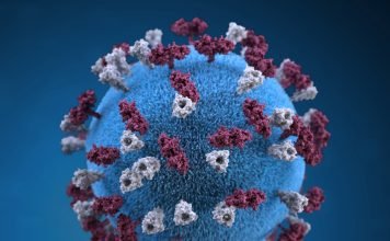 Systemic problems are causing spike in measles cases, warns TTB