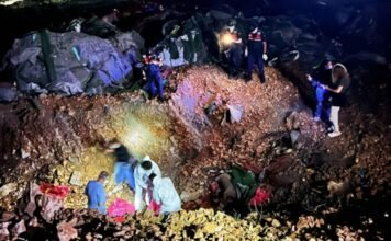 Another municipality in Turkey is accused of mass killing of stray dogs