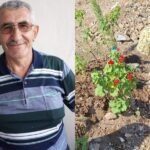 Plight of 71-year-old man who died of cancer reveals extent of purge in Turkey