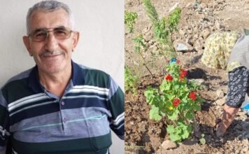 Plight of 71-year-old man who died of cancer reveals extent of purge in Turkey