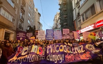 Man freed under Turkey’s mass release program killed partner days later