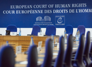 ECtHR found violations of freedom of expression by Turkey in 432 rulings since 2002