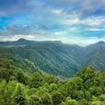 Turkey’s ruling AKP pushes ahead with bill to allow construction of hotels in national parks