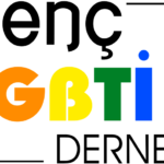 Turkish court orders closure of LGBTQ+ group despite non-prosecution in obscenity probe