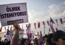 29 women killed, 22 more died under suspicious circumstances in Turkey in November