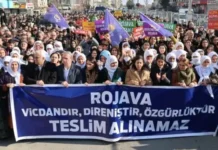 35 arrested over pro-Kurdish protests against Syria offensive: minister