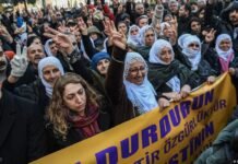 German Left Party says 16 activists, journalists detained in Turkey, calls for their release