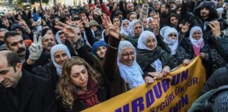 German Left Party says 16 activists, journalists detained in Turkey, calls for their release