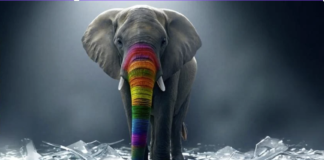 Turkey’s state broadcaster slammed over documentary targeting LGBTQ people