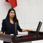 Turkish MP alleges abuse of minors detained over protests against Syrian offensive in Kurdish region