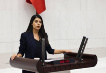 Turkish MP alleges abuse of minors detained over protests against Syrian offensive in Kurdish region