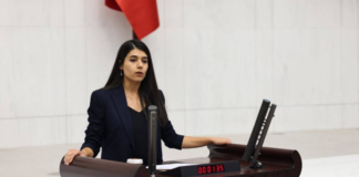 Turkish MP alleges abuse of minors detained over protests against Syrian offensive in Kurdish region