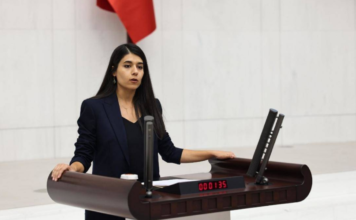 Turkish MP alleges abuse of minors detained over protests against Syrian offensive in Kurdish region