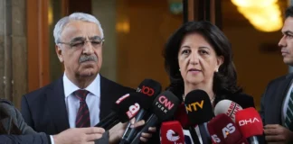 Pro-Kurdish party says they will keep peace initiative moving after meeting with Erdoğan