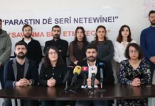 Human rights group reports 118 arrests, 842 detentions during Rojava protests in Turkey